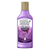 Lavanda dos Alpes