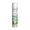 Bamboo do Tibete